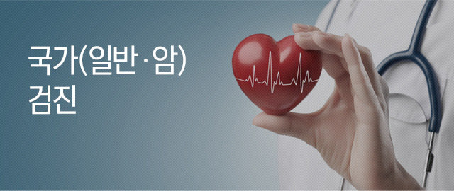 검진 안내